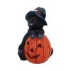 Trick or Treat 13cm Cats Gifts Under £100