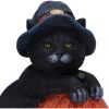 Trick or Treat 13cm Cats Gifts Under £100