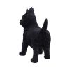 Charmed Companion 20cm Cats Gifts Under £100