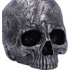 Mind Map 15cm Skulls New Arrivals