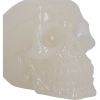Phosphorescent 10.5cm Skulls Stock Release Spring 2024