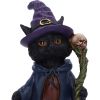 Whiskered Wizard 14cm Cats Gifts Under £100