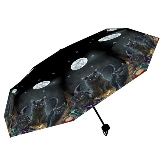 Familiars Umbrella (LP) Cats Lisa Parker