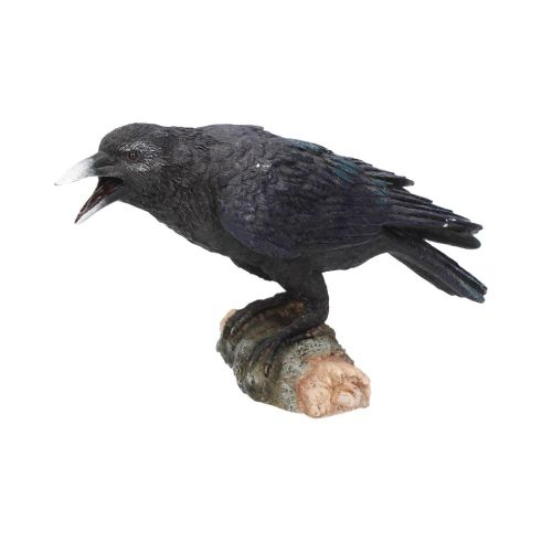 Raven's Call 20cm Ravens Stock Arrivals