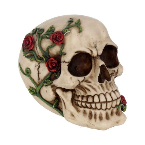 Rose From Beyond 15cm Skulls De retour en stock