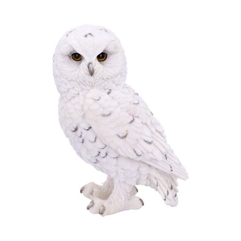 Snowy Watch Small 13.3cm Owls De retour en stock