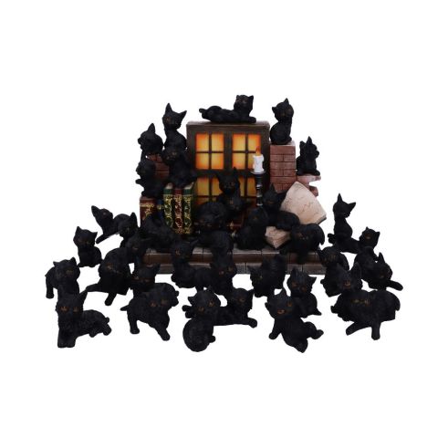 The Witches Litter 24.8cm (Display of 36) Cats Stock Arrivals