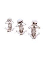 Three Wise Skellywags 13cm (Set of 3) Skeletons De retour en stock
