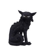Salem (Small) 19.6cm Cats De retour en stock