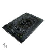 Ivy Book Of Shadows (22cm) Witchcraft & Wiccan De retour en stock