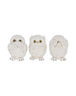 Three Wise Owls 8cm Owls Idées de cadeaux